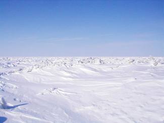 tundra landform